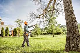 Reliable Manchester, PA Tree Removal and Landscaping Services Solutions